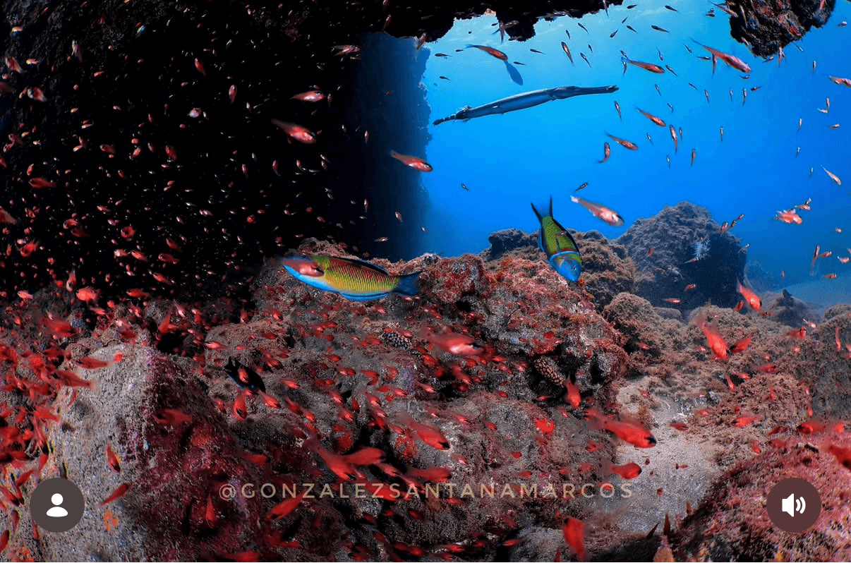 Tu Primera Respiración bajo el Mar: Bautizo de Buceo