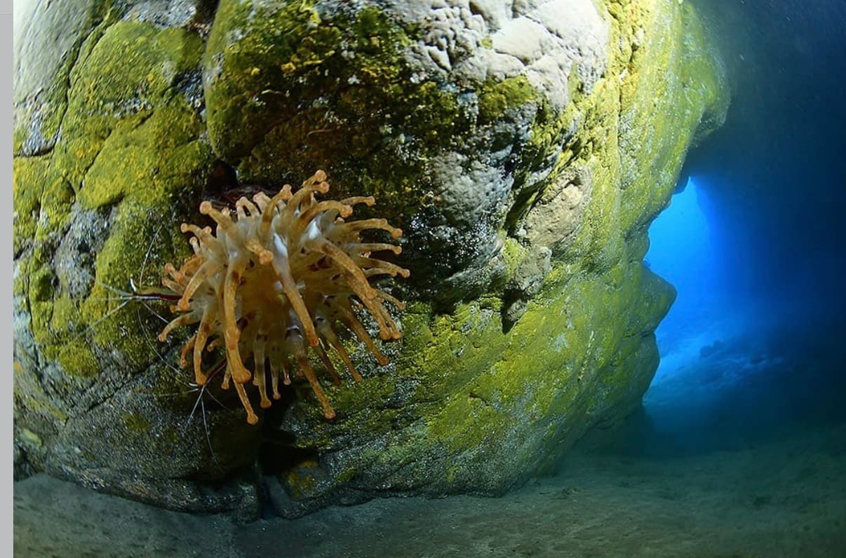 Inmersiones profundas, con cavernas y entrada desde roca 