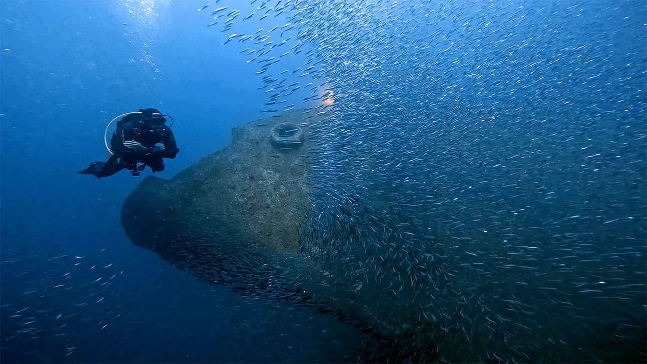 Inmersiones desde barco: Pecios y Cavernas