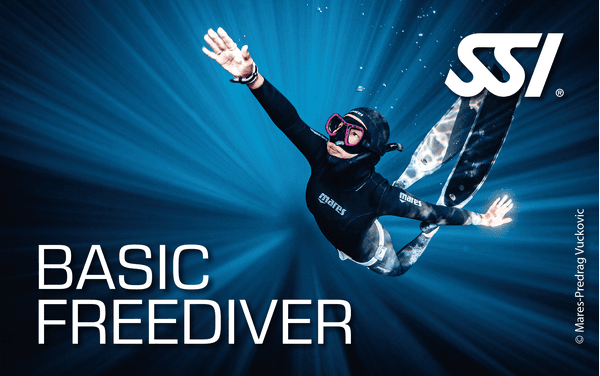 BASIC FREEDIVER: Tu inicio en el mundo de la Apnea