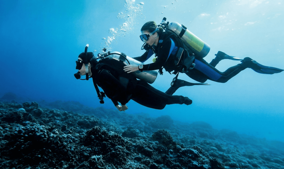 CLASSIFIED DIVE BUDDY: Haz el buceo accesible 