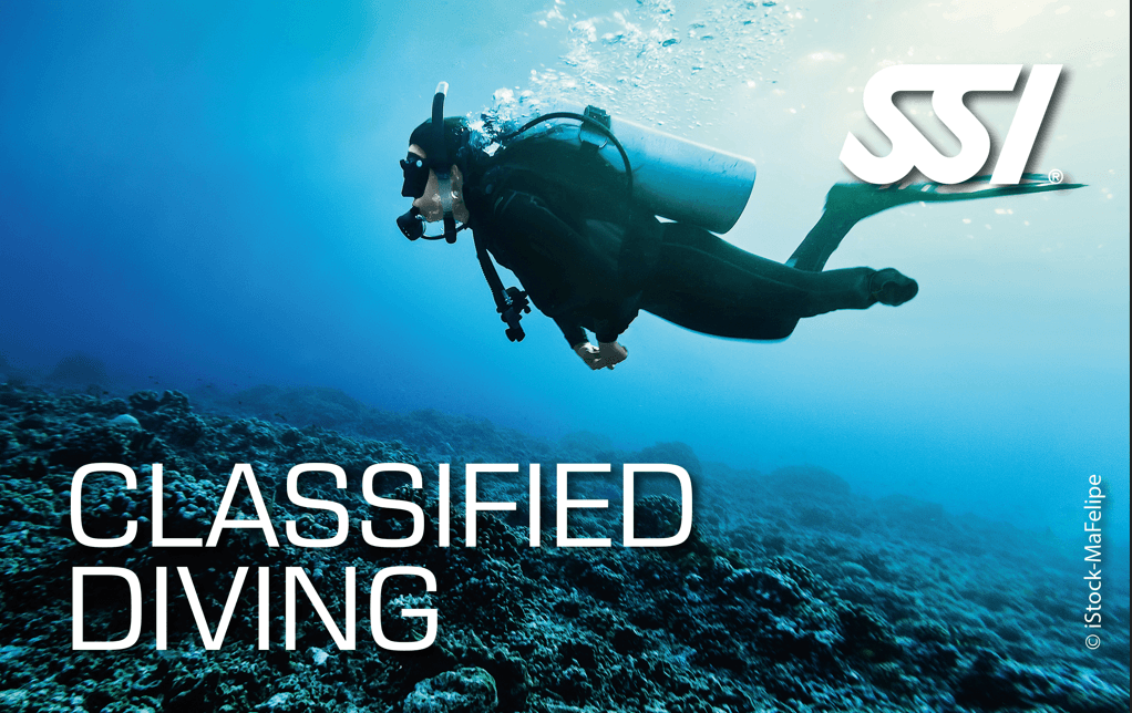 CLASSIFIED DIVER: Un Mar de Posibilidades
