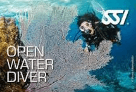 Curso Open Water Diver: Tu Pasaporte al Océano Comienza Aquí
