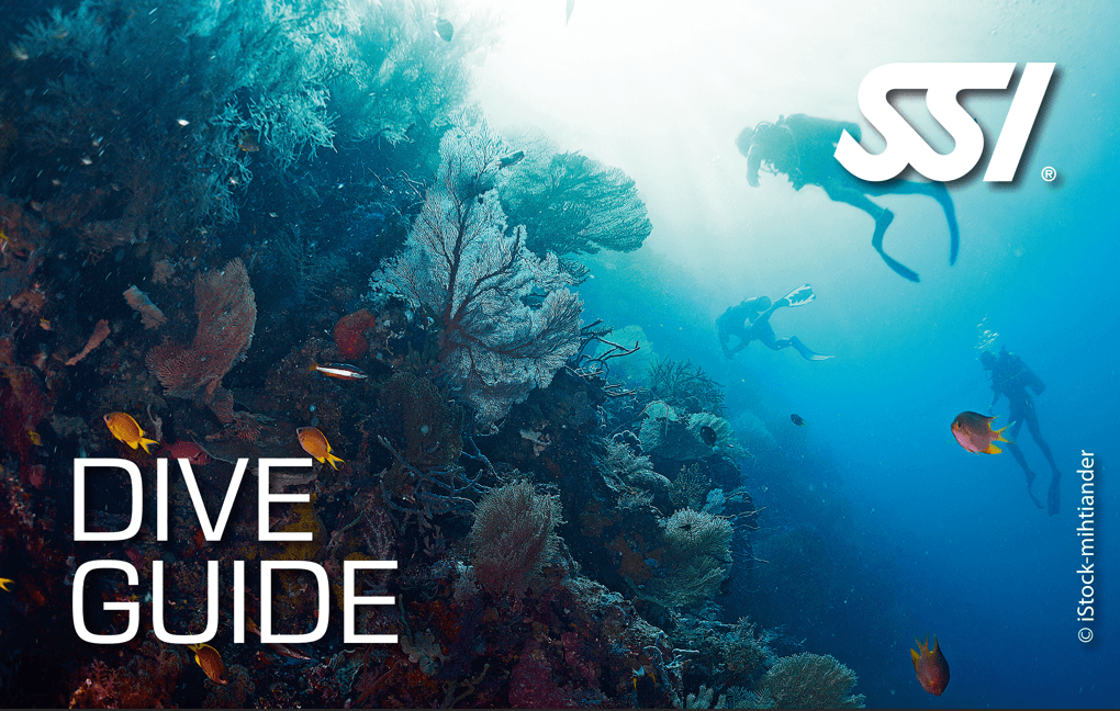 DIVE GUIDE (Nivel Recreativo - No Profesional) 