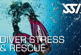 Pack Stress & Rescue  + React Right: Autonomía y Control Total