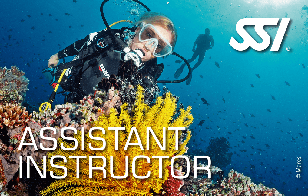 ASSISTANT INSTRUCTOR: El Comienzo de tu Carrera como Instructor